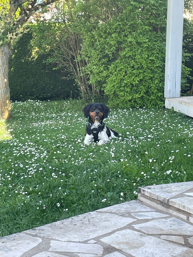 de la vallée de la Py - Reçu une photo de Woody de la vallée de la py merci