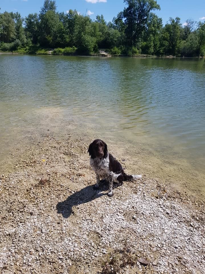 de la vallée de la Py - Reçu une photo de Orsen de la vallée de la py merci