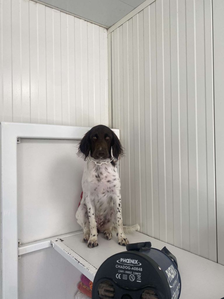 Reçu une photo de Arya de la vallée de la py merci