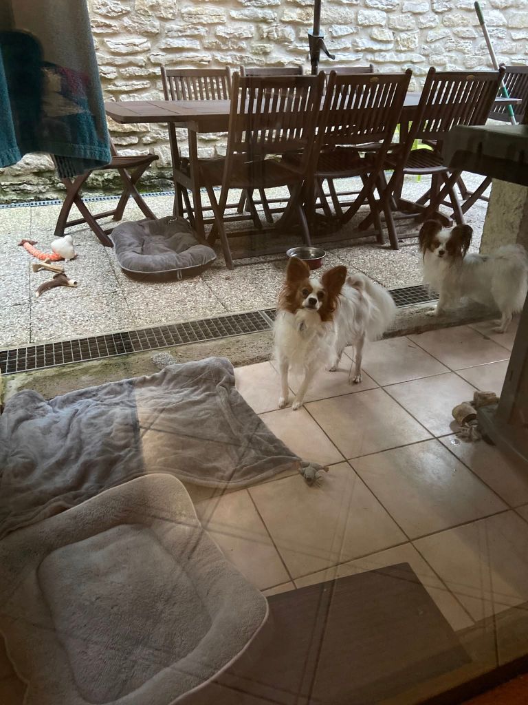 De La Vallée De La Py - Reçu une photo de Urfy et Ula  de la vallée de la py merci