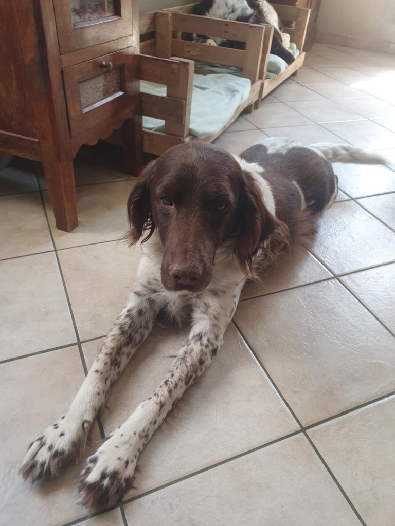 de la vallée de la Py - Reçu une photo de Geff de la vallée de la py merci