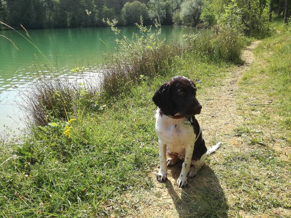 de la vallée de la Py - Reçu une photo de Tika de la vallée de la py merci
