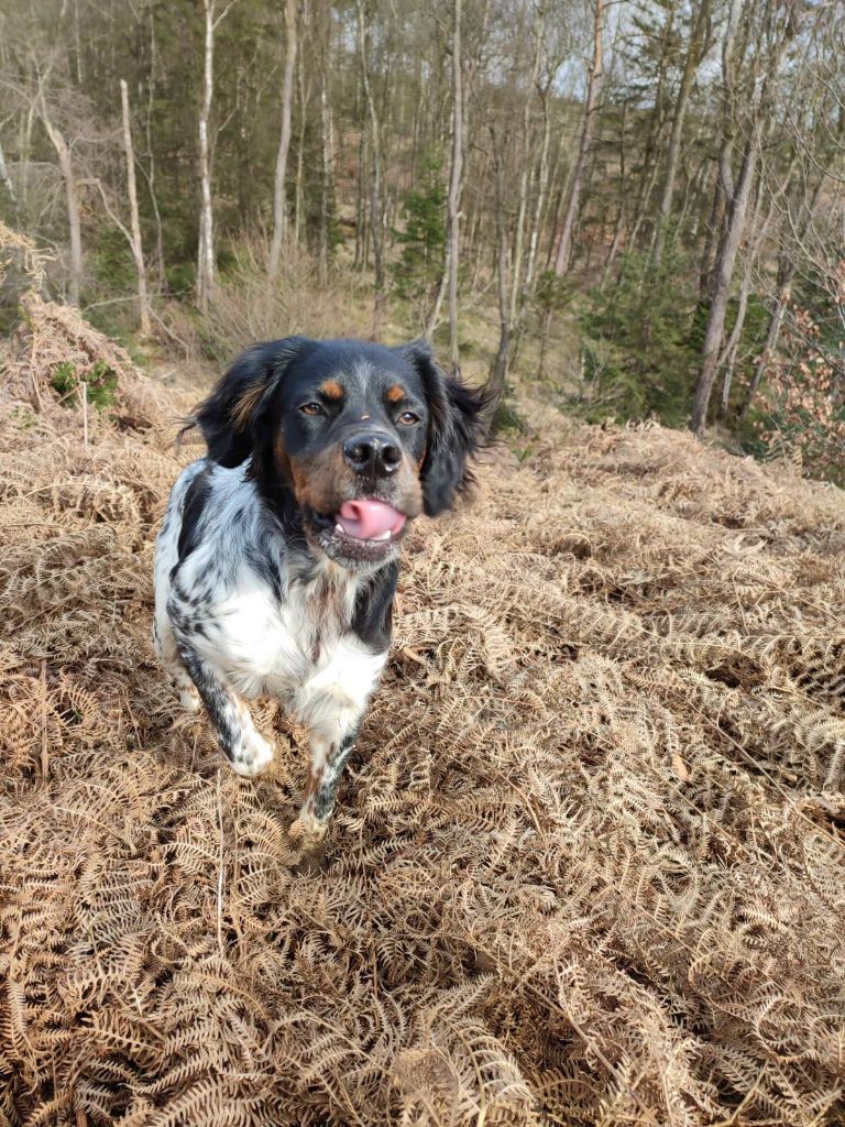 de la vallée de la Py - Reçu une photo de Volf de la vallée de la py merci