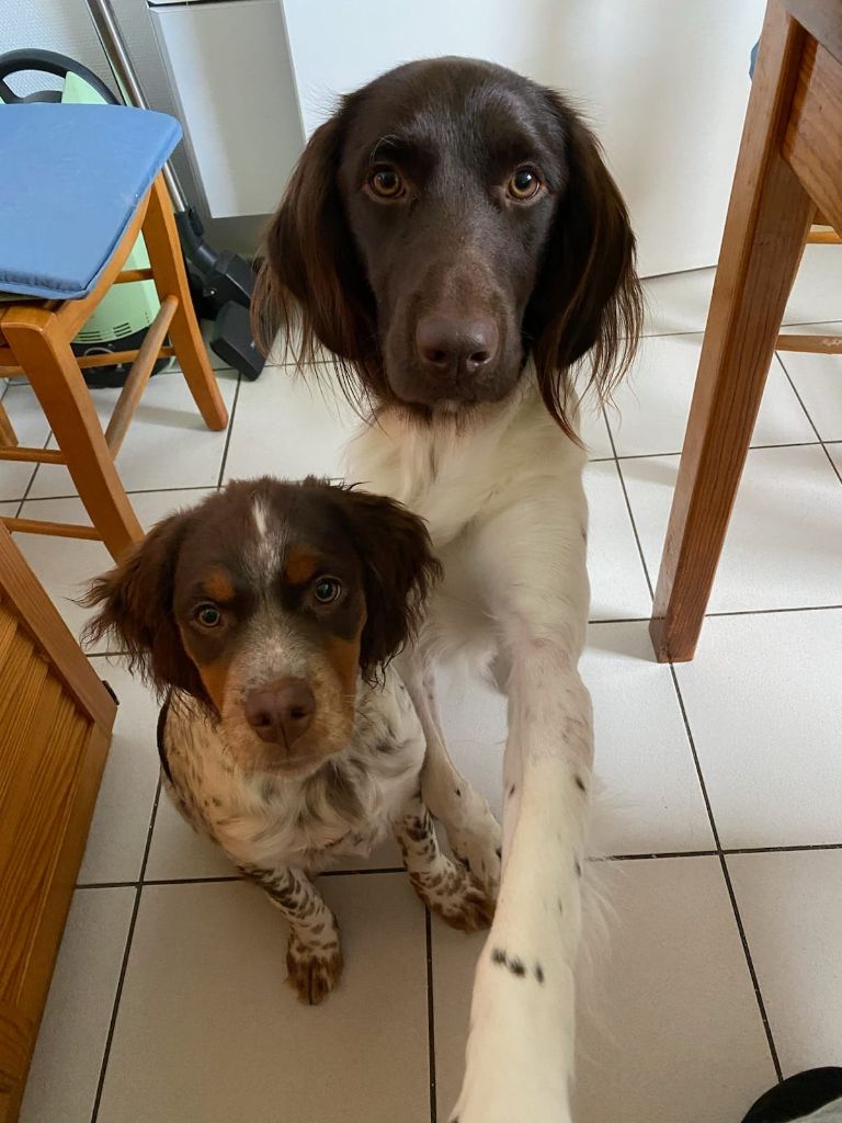 de la vallée de la Py - Reçu une photo de Sam et Titeuf de la vallée de la py merci