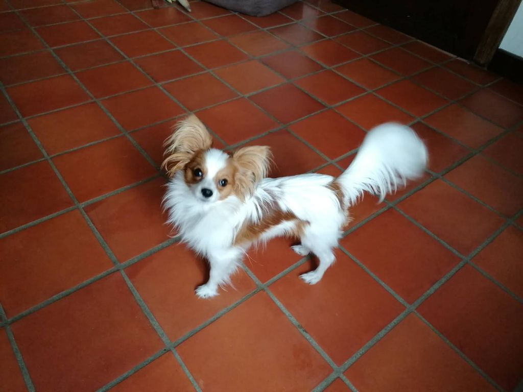 Reçu une photo de Aiko de la vallée de la py merci