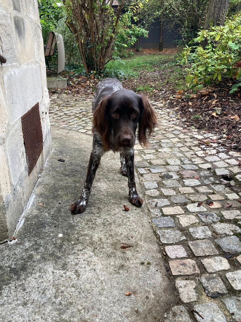 De La Vallée De La Py - RECU UNE PHOTO DE VEGAS DE LA VALLEE DE LA PY MERCI