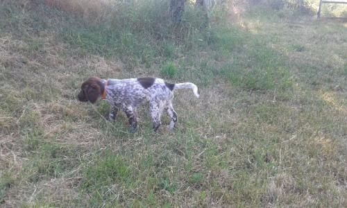 de la vallée de la Py - DES NOUVELLES DE NORTON