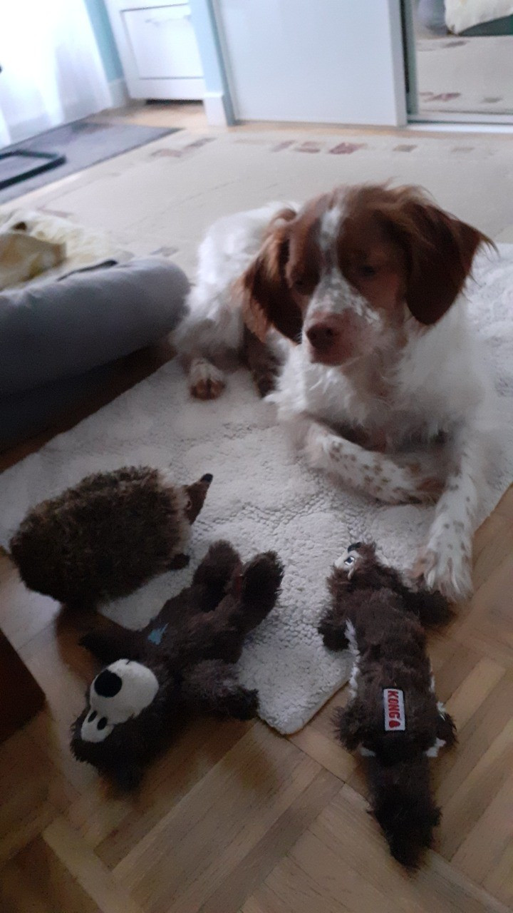 De La Vallée De La Py - Reçu des photos de Vanille de la vallée de la py merci