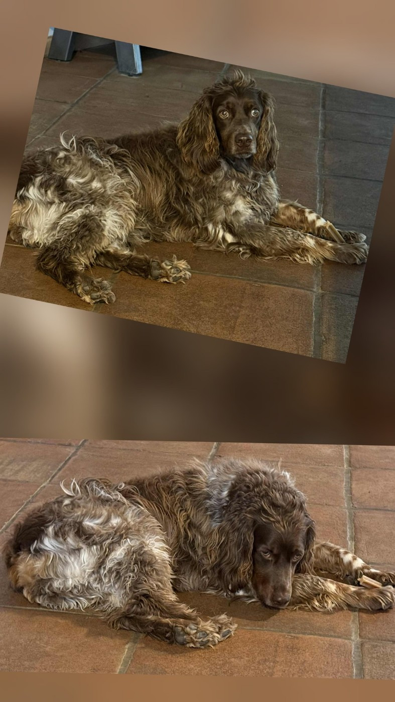 Reçu des photos de Toto de la vallée de la py merci