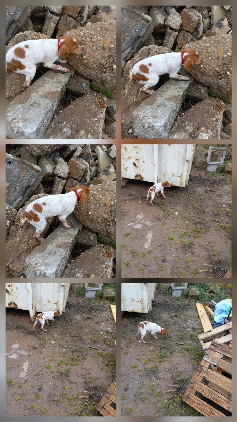 Reçu des photos de Amira de la vallée de la py merci