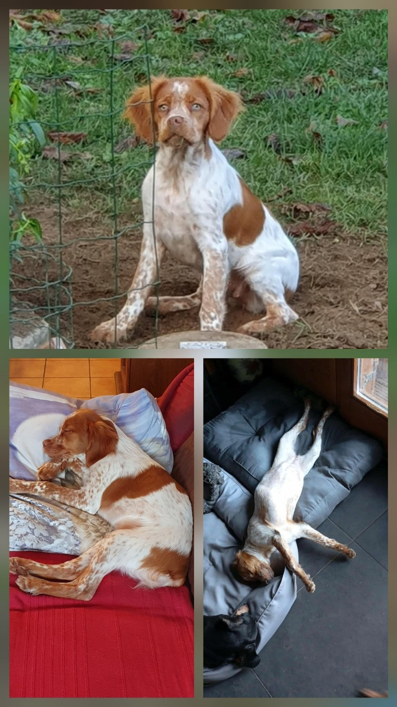 Reçu des photos de Alya de la vallée de la py merci