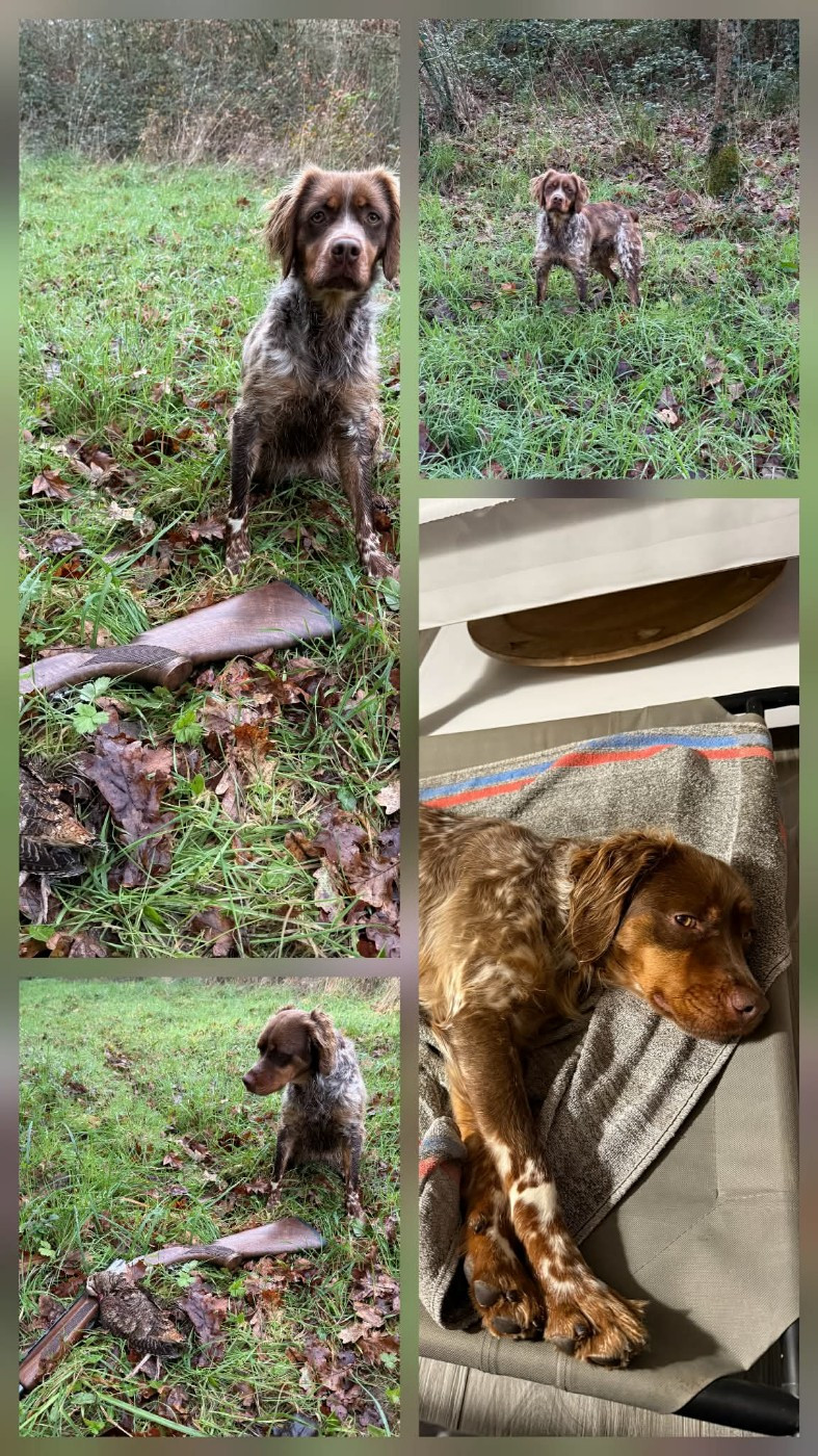 Reçu des photos de Vixie de la vallée de la py merci