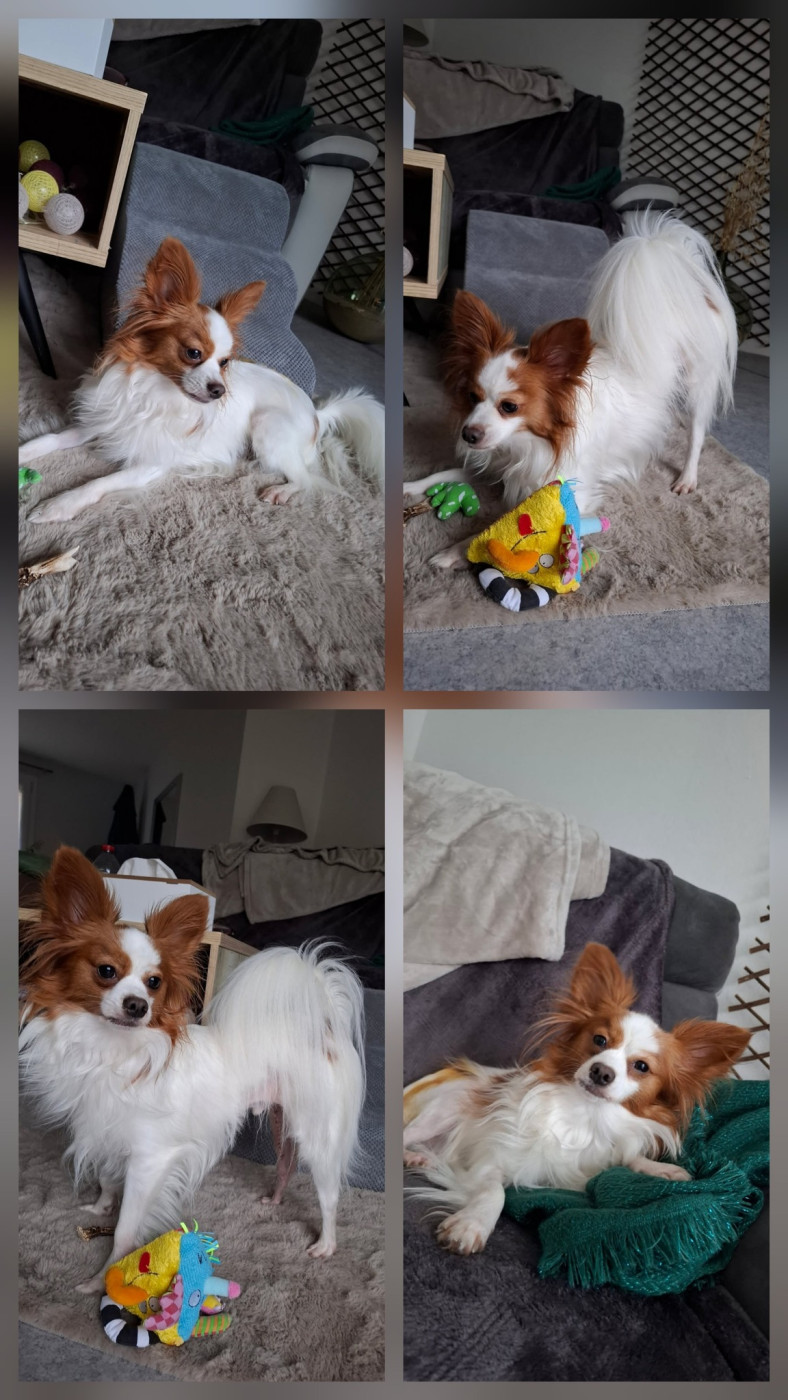 De La Vallée De La Py - Reçu des photos de Urfy de la vallée de la py merci