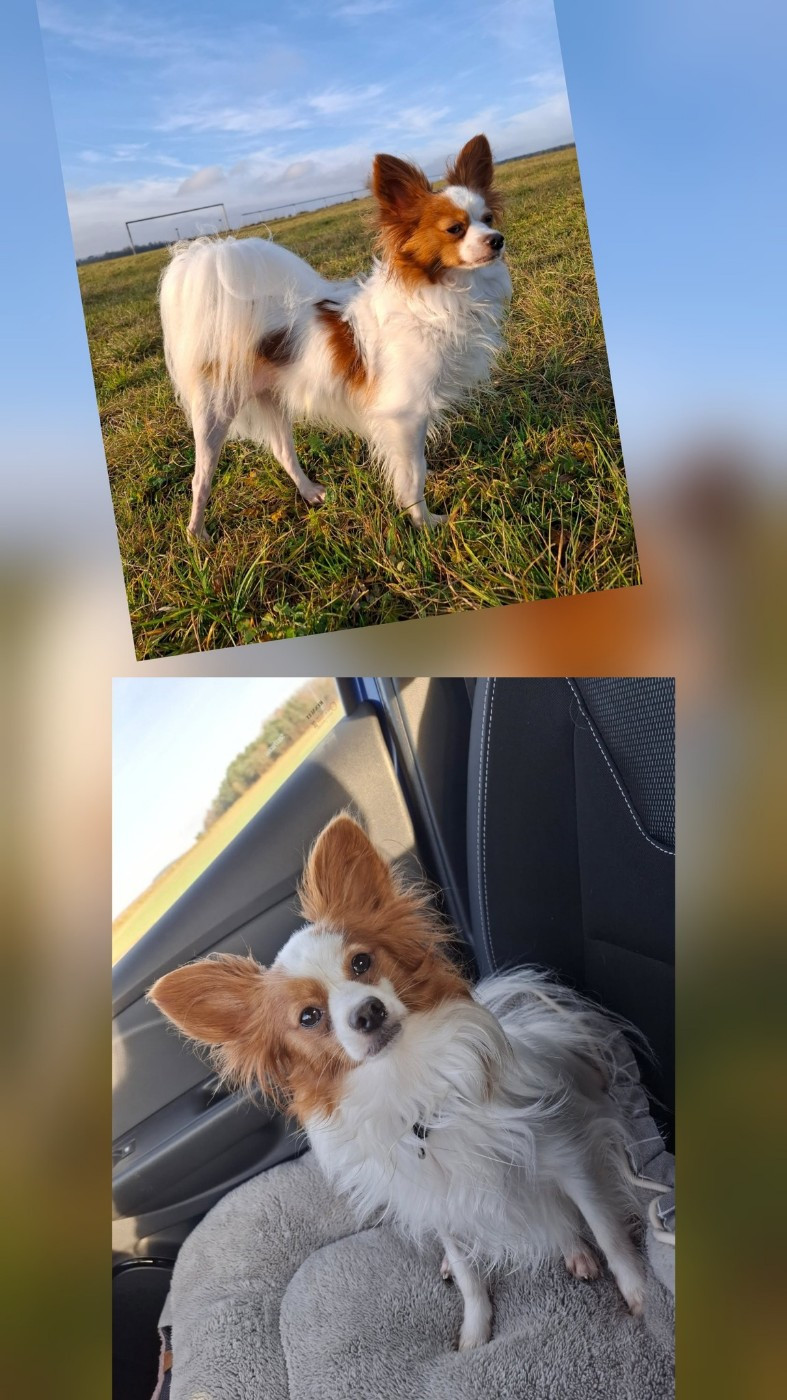 Reçu des photos de Urfy de la vallée de la py merci