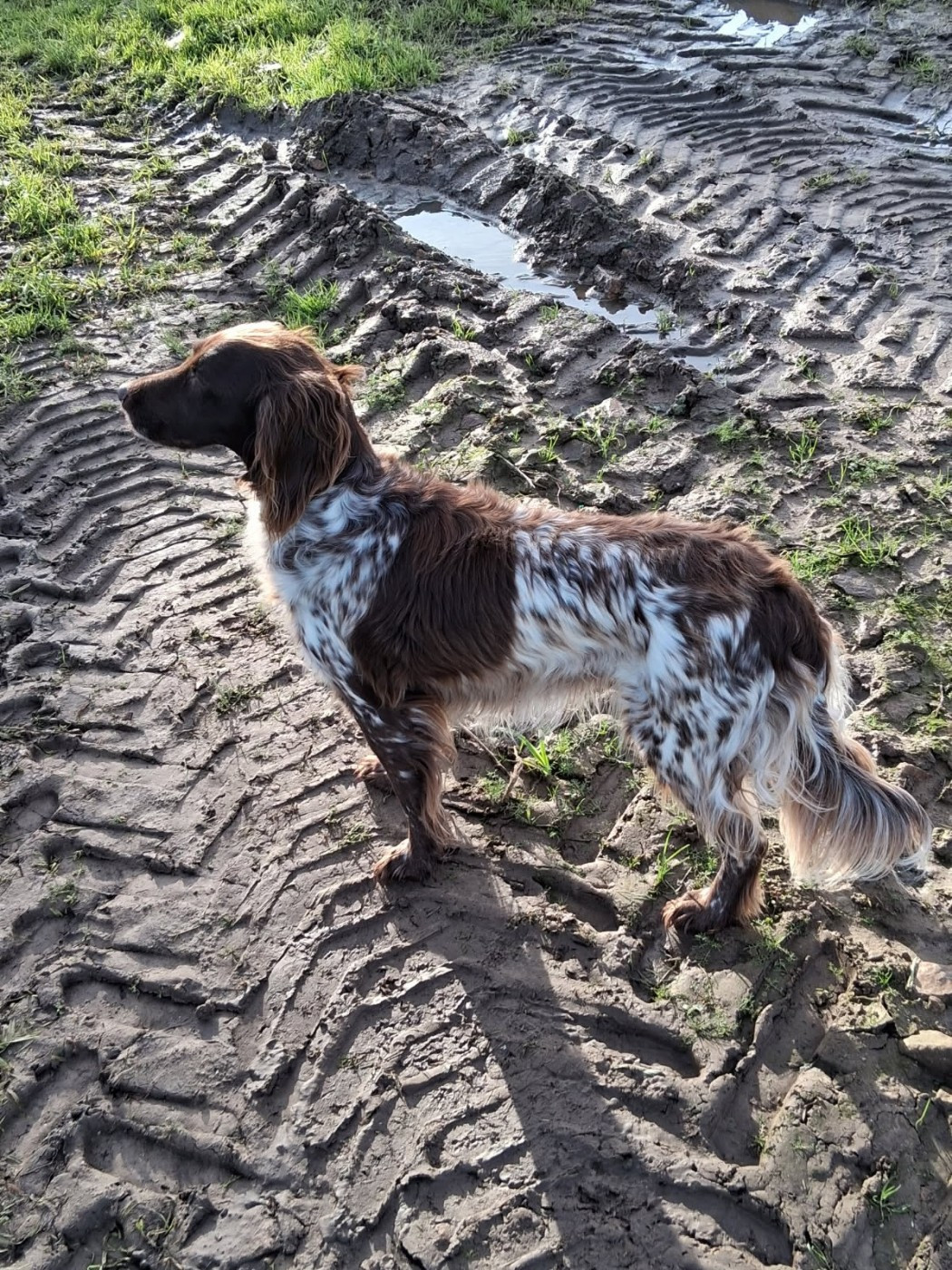 De La Vallée De La Py - Reçu une photo de Pady de la vallée de la py merci