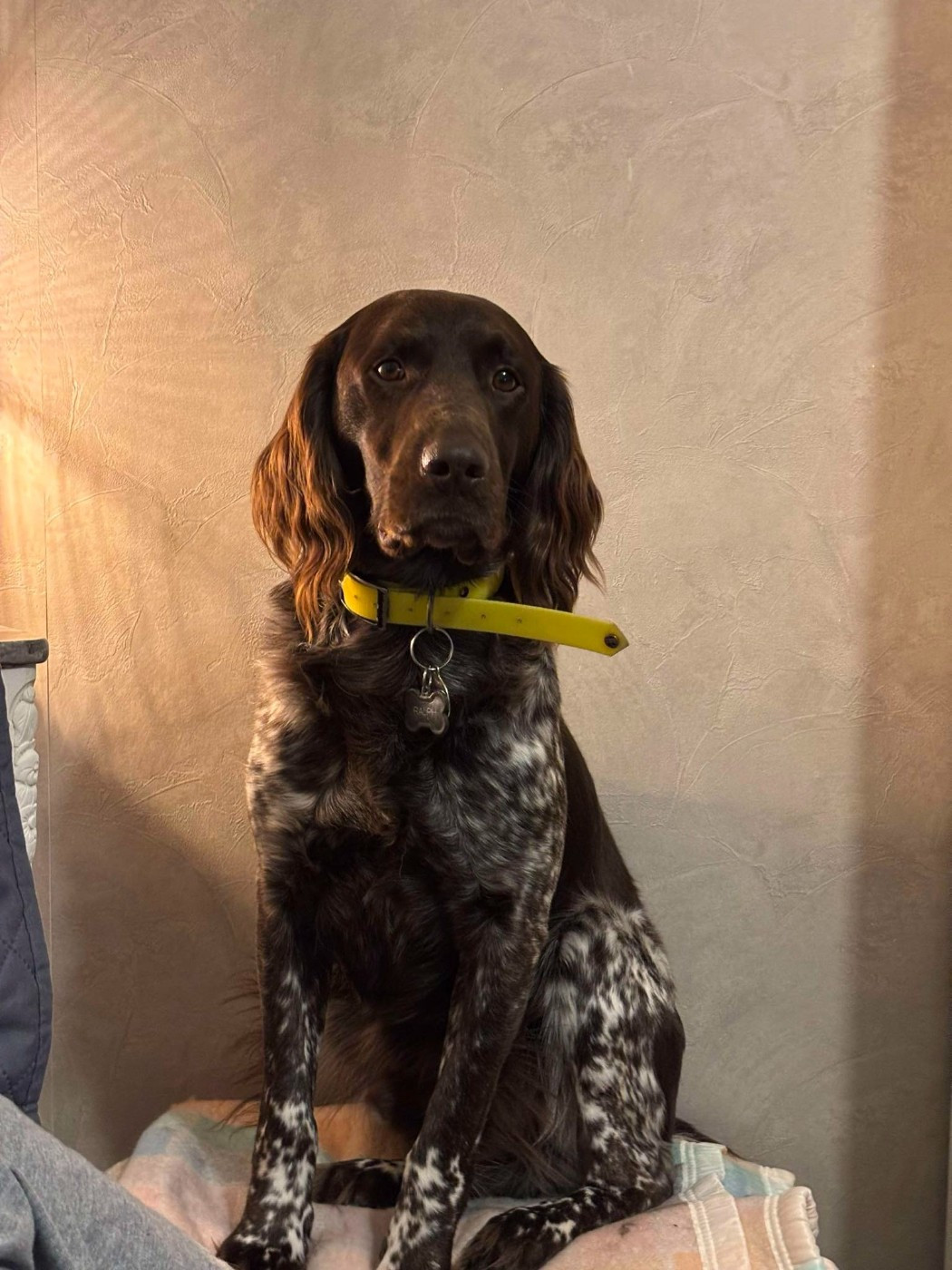 De La Vallée De La Py - Reçu une photo de Ralph de la vallée de la py merci