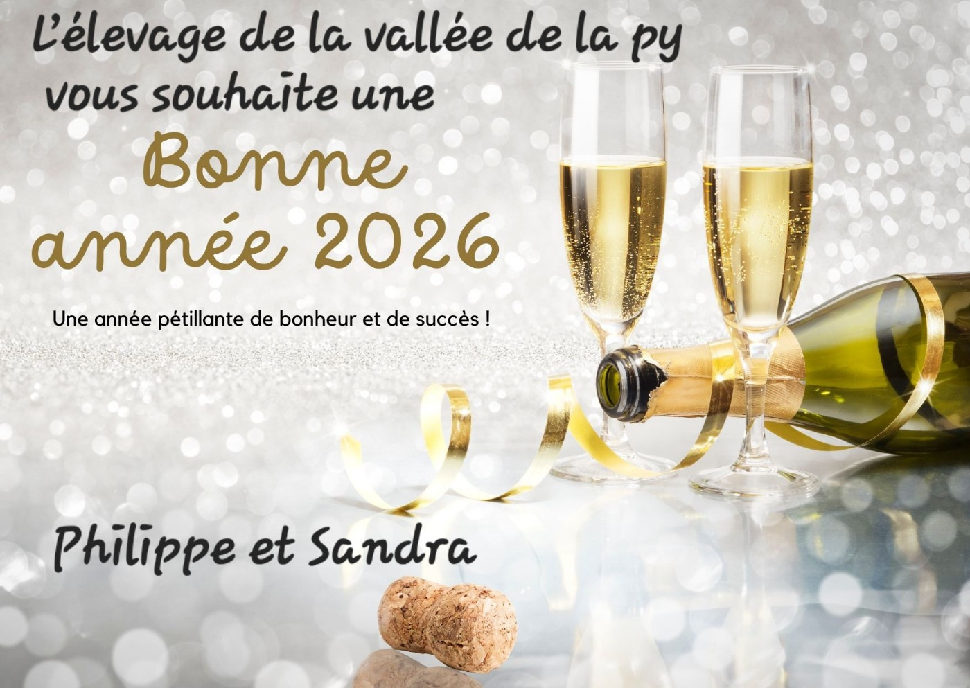 De La Vallée De La Py - Bonne année 2026