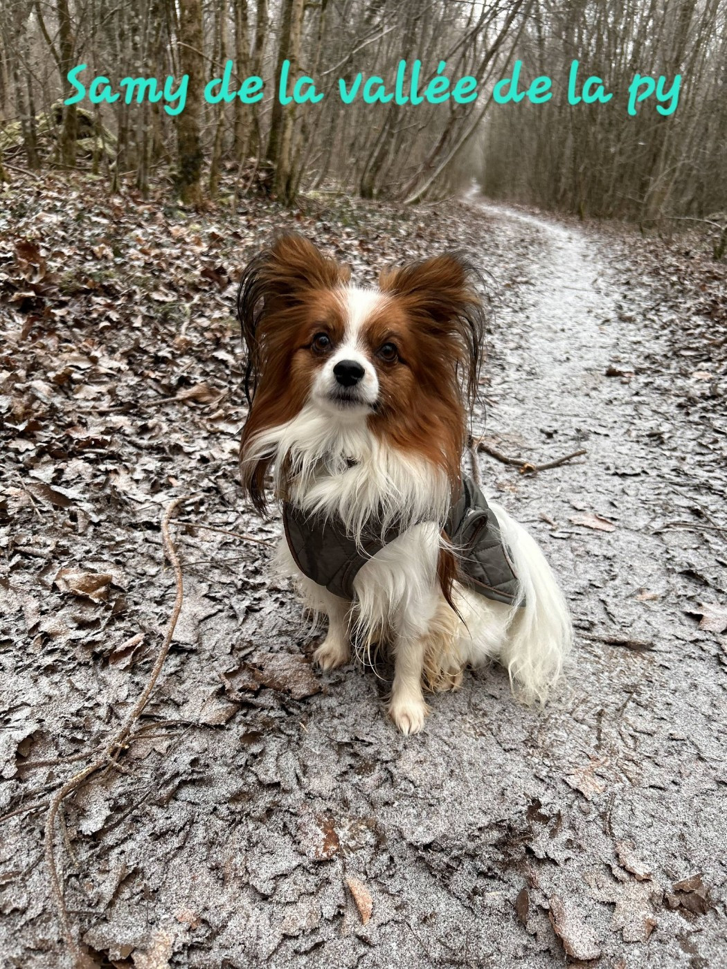 De La Vallée De La Py - Reçu des photos pour la bonne année merci
