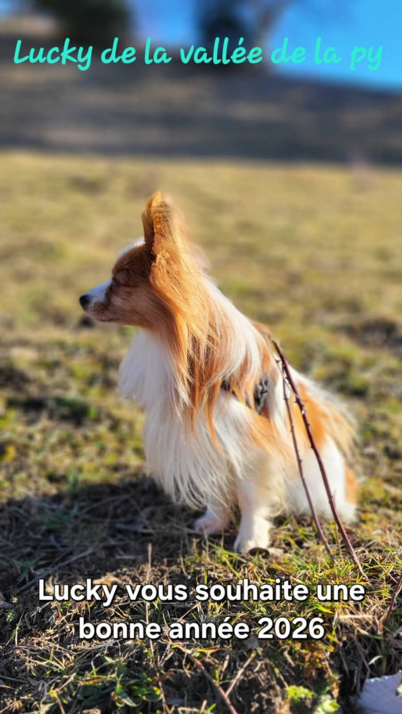 De La Vallée De La Py - Reçu des photos pour la bonne année merci
