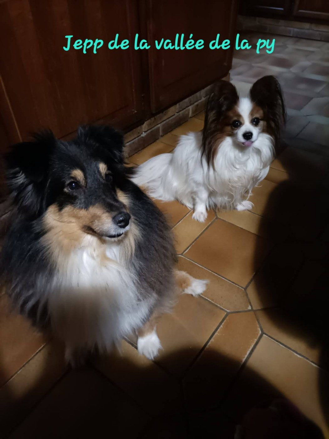 De La Vallée De La Py - Reçu des photos pour la bonne année merci