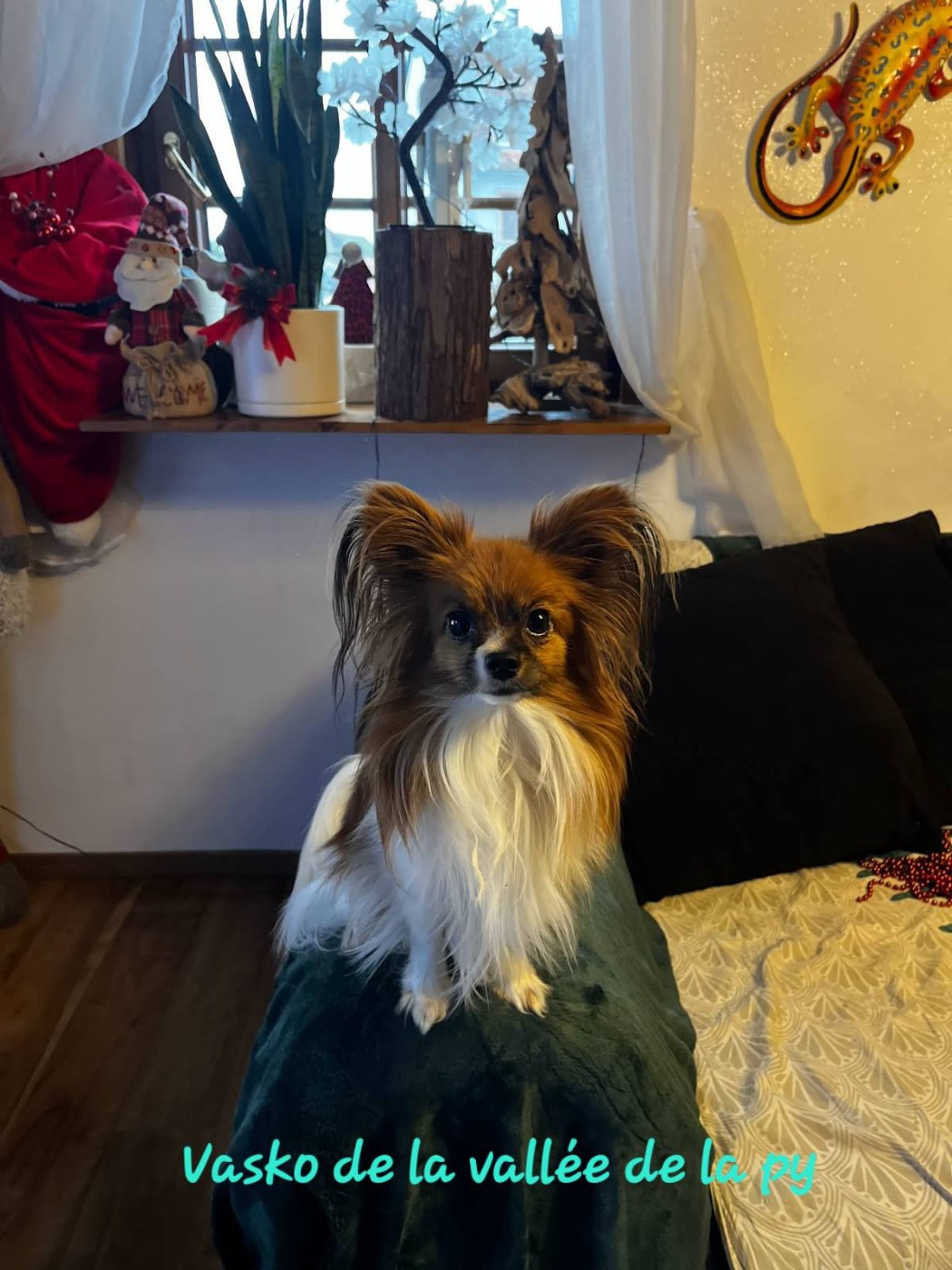 De La Vallée De La Py - Reçu des photos pour la bonne année merci