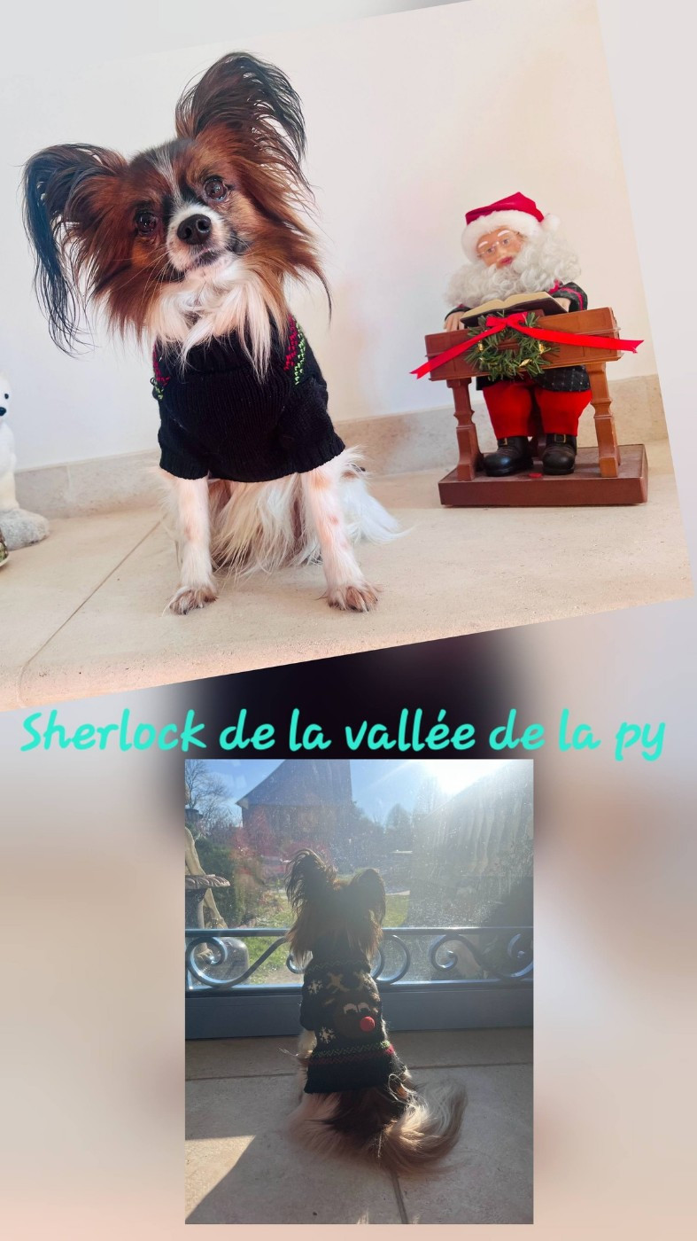 De La Vallée De La Py - Reçu des photos pour la bonne année merci