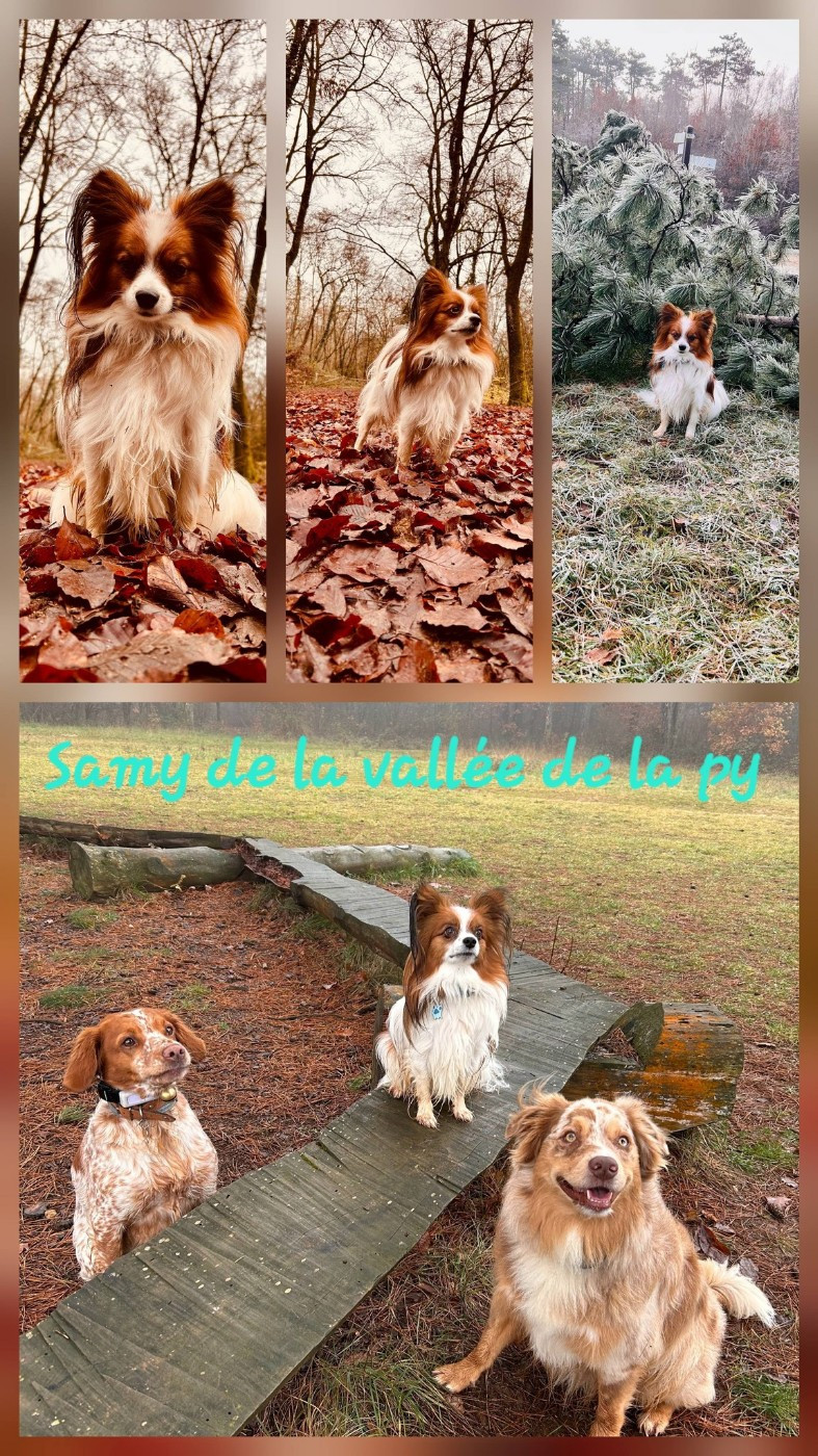 De La Vallée De La Py - Reçu des photos pour la bonne année merci