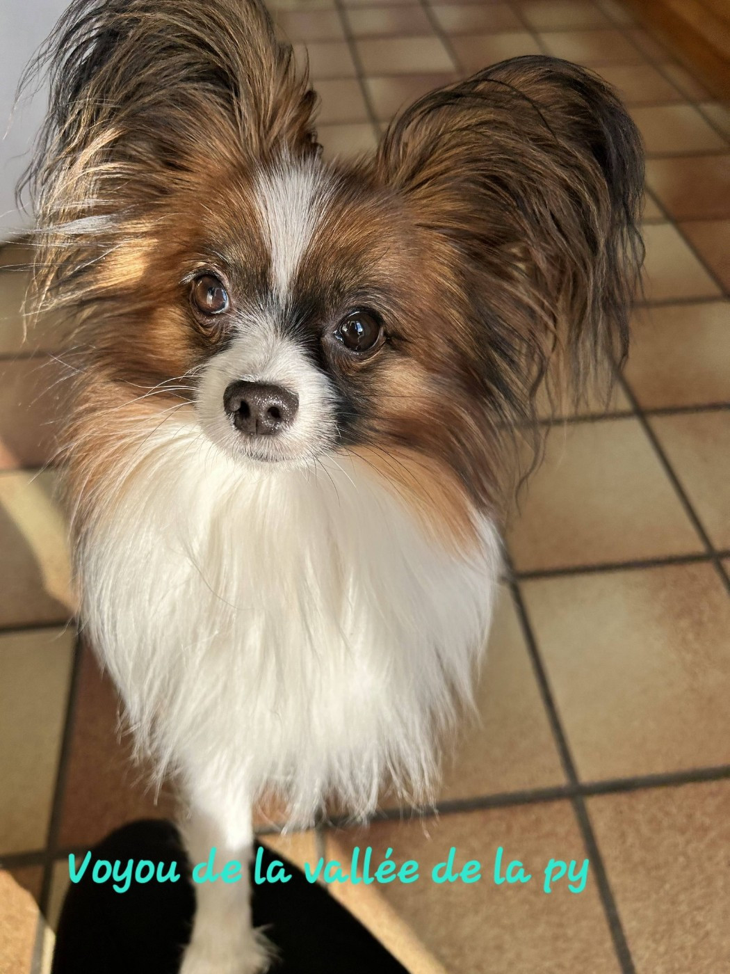 De La Vallée De La Py - Reçu des photos pour la bonne année merci