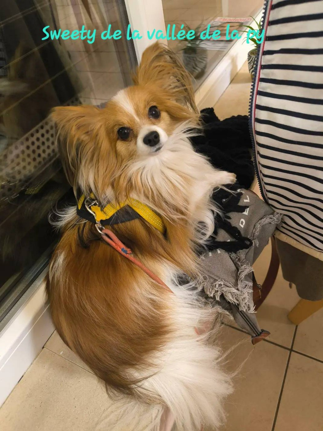 De La Vallée De La Py - Reçu des photos pour la bonne année merci