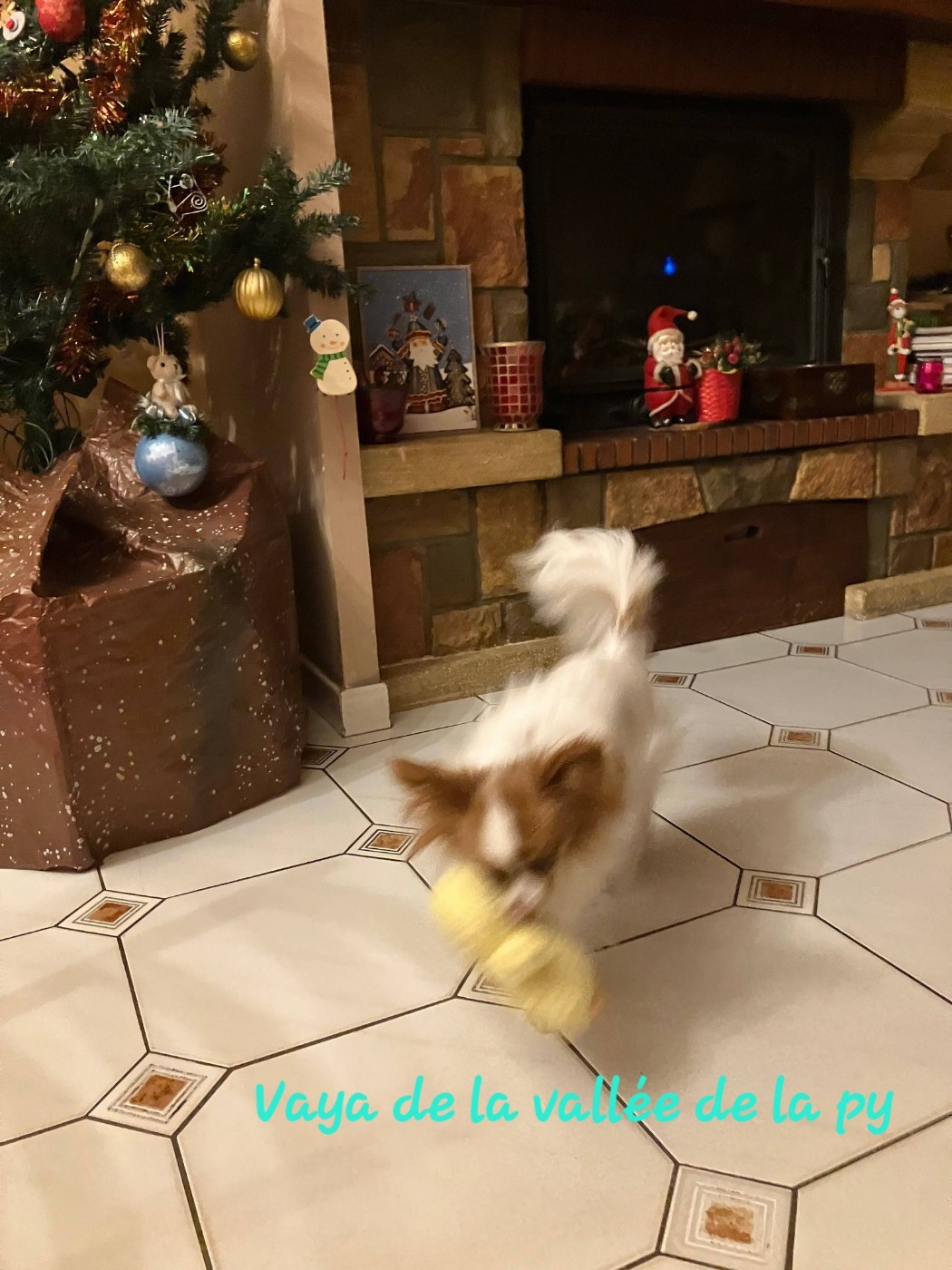 De La Vallée De La Py - Reçu des photos pour la bonne année merci