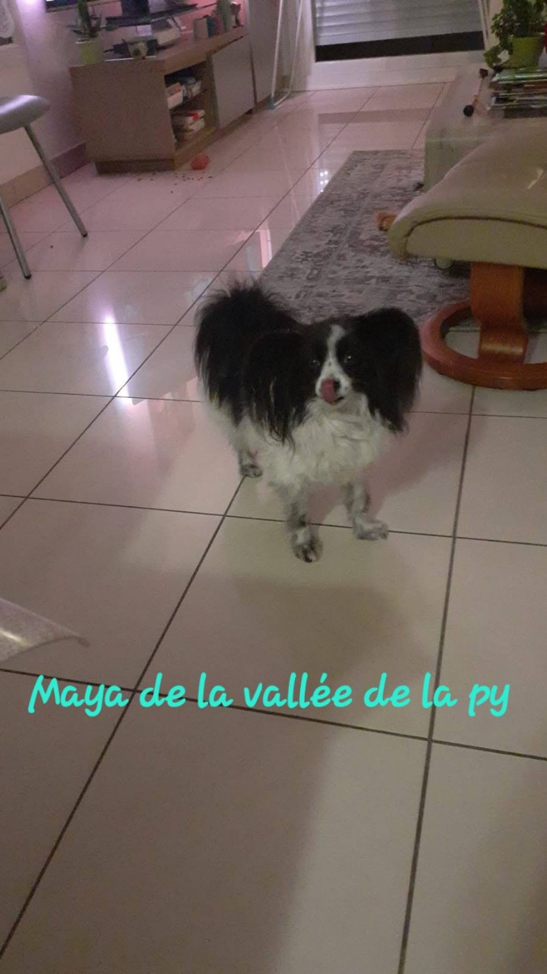 De La Vallée De La Py - Reçu des photos pour la bonne année merci