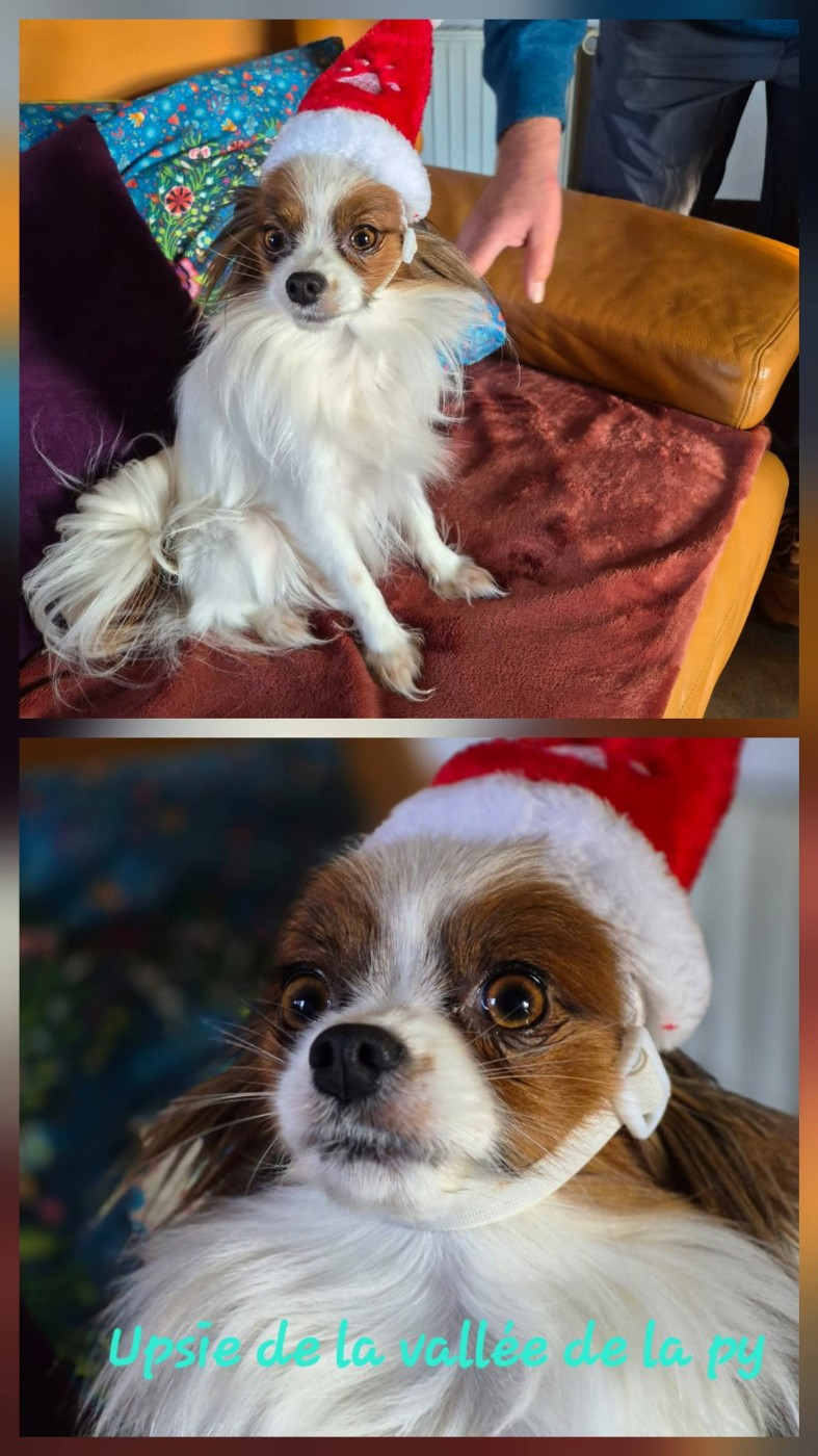 De La Vallée De La Py - Reçu des photos pour la bonne année merci