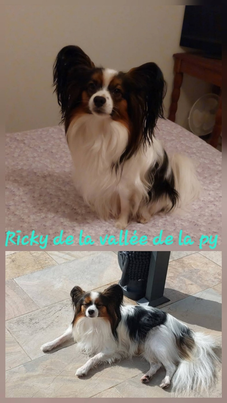 De La Vallée De La Py - Reçu des photos pour la bonne année merci