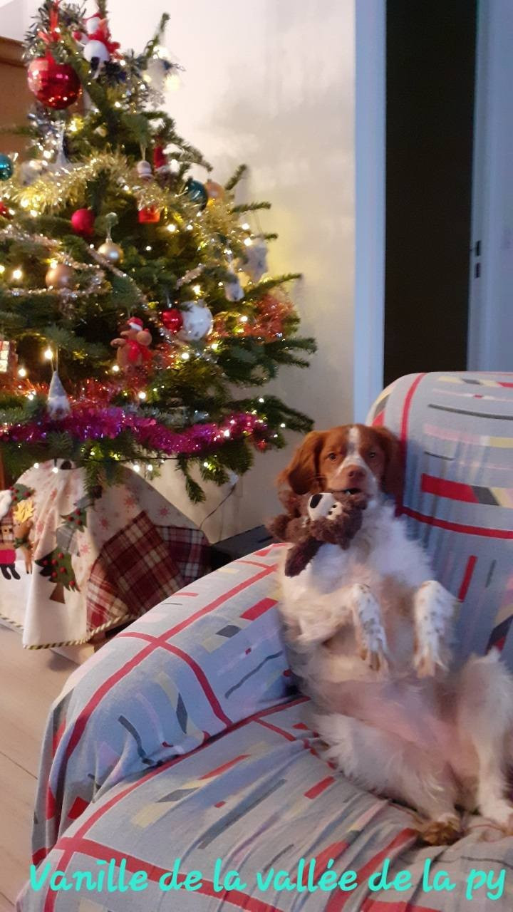 De La Vallée De La Py - Reçu des photos pour la bonne année merci