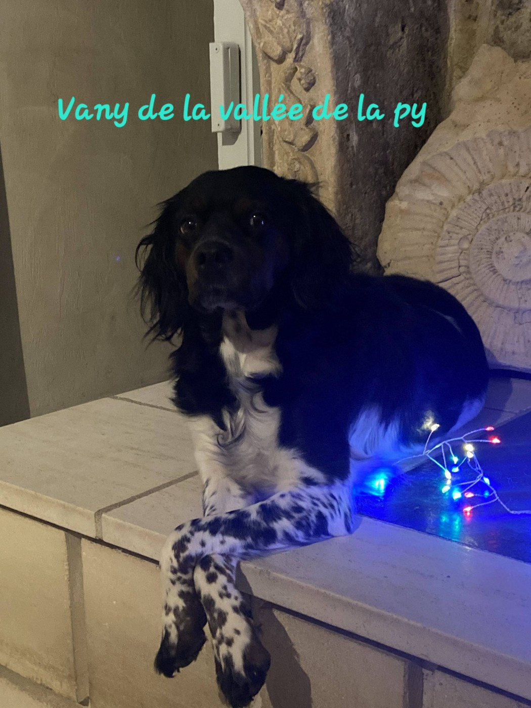 De La Vallée De La Py - Reçu des photos pour la bonne année merci