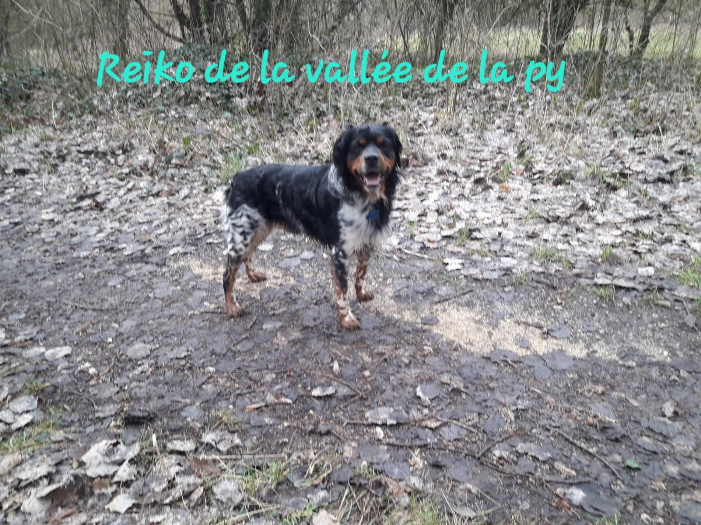 De La Vallée De La Py - Reçu des photos pour la bonne année merci