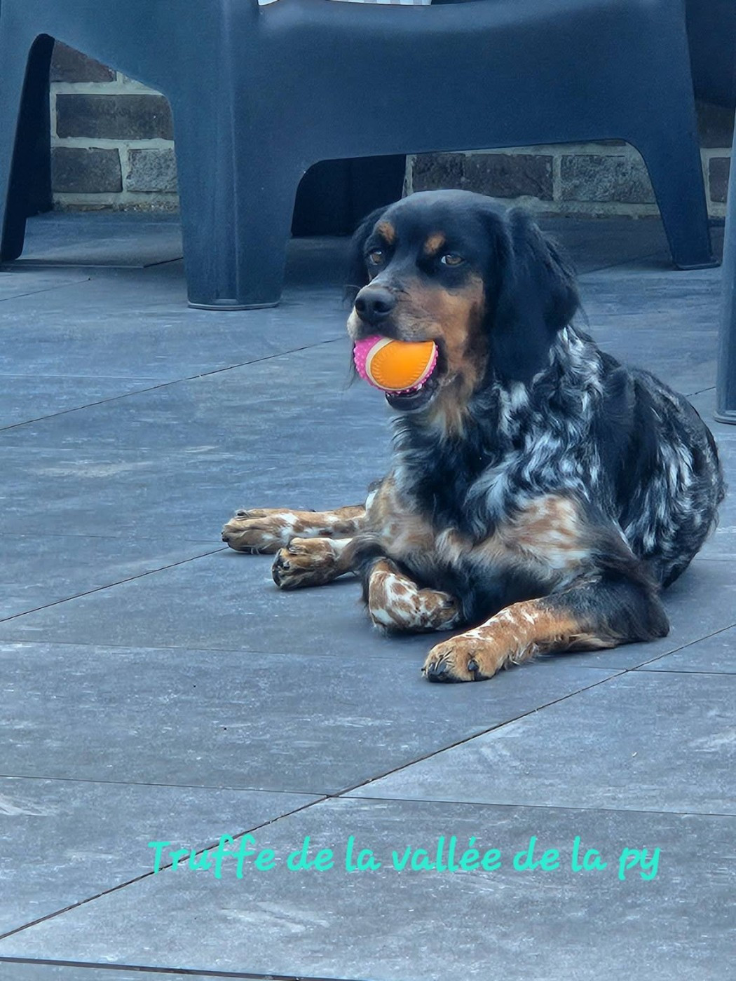 De La Vallée De La Py - Reçu des photos pour la bonne année merci