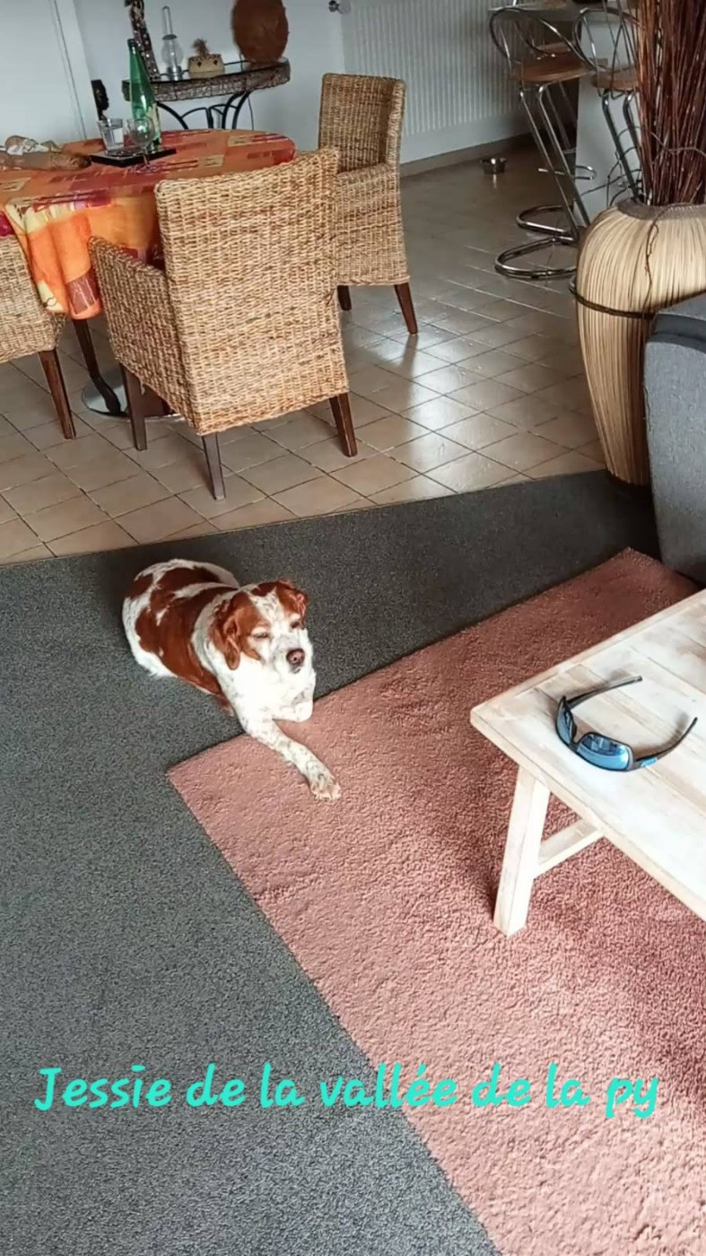 De La Vallée De La Py - Reçu des photos pour la bonne année merci