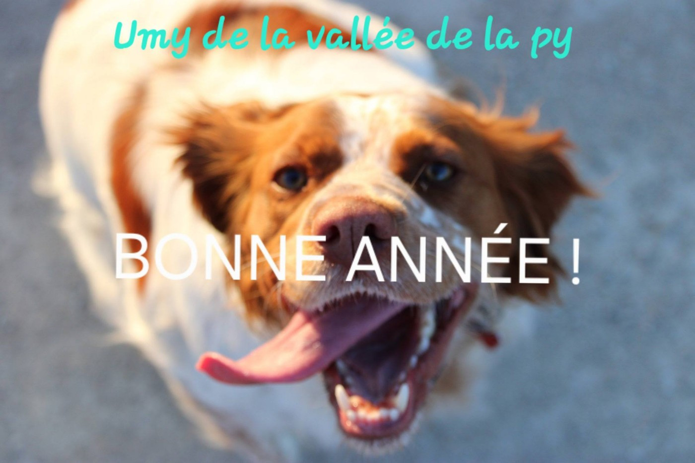 De La Vallée De La Py - Reçu des photos pour la bonne année merci
