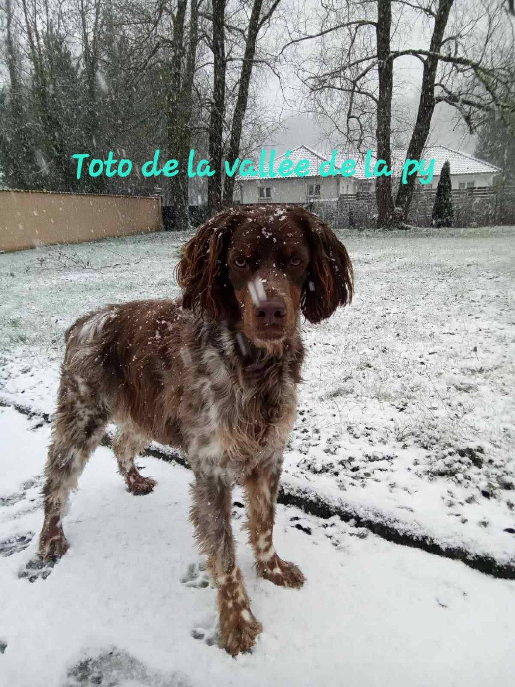 De La Vallée De La Py - Reçu des photos pour la bonne année merci