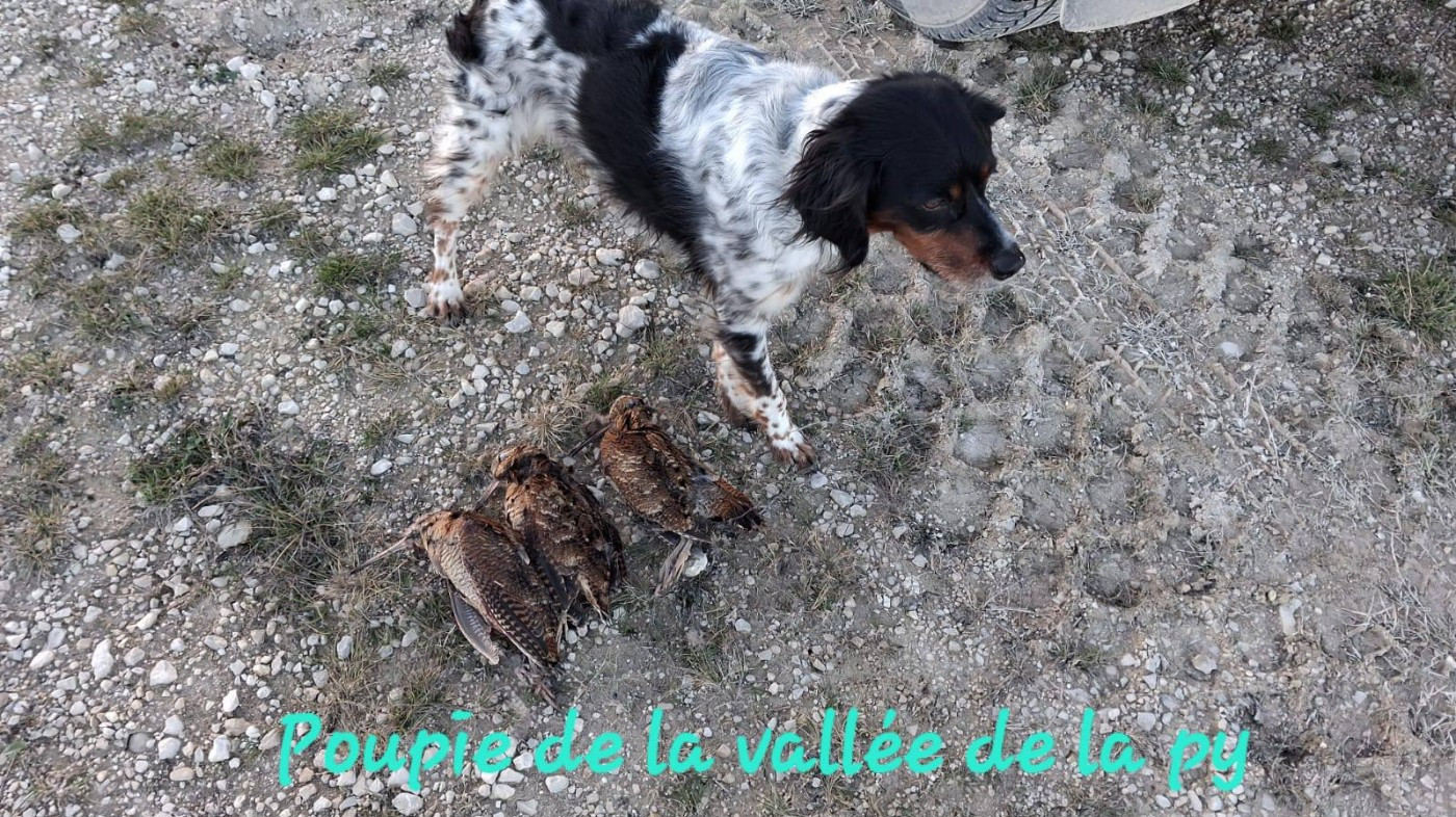 De La Vallée De La Py - Reçu des photos pour la bonne année merci