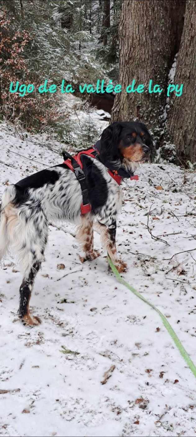 De La Vallée De La Py - Reçu des photos pour la bonne année merci