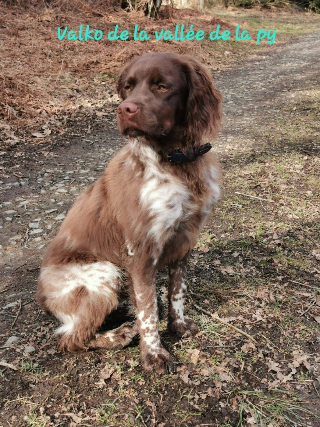 De La Vallée De La Py - Reçu des photos pour la bonne année merci