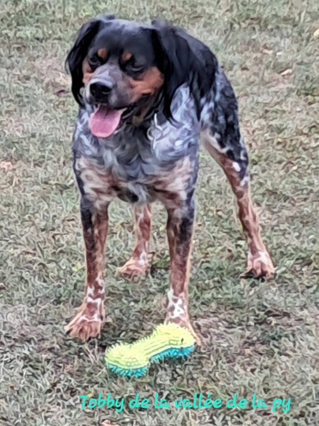 De La Vallée De La Py - Reçu des photos pour la bonne année merci