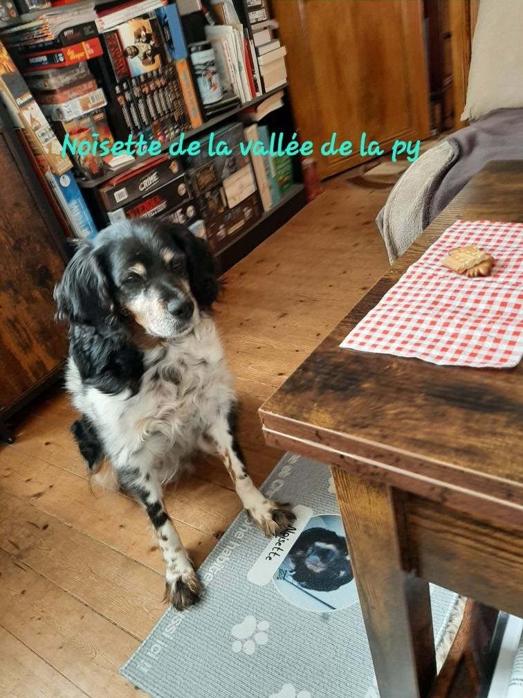 De La Vallée De La Py - Reçu des photos pour la bonne année merci