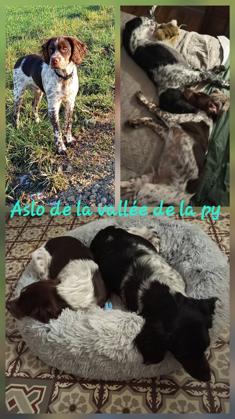 De La Vallée De La Py - Reçu des photos pour la bonne année merci