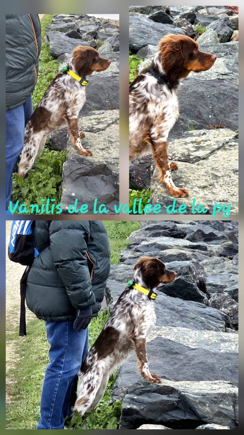 De La Vallée De La Py - Reçu des photos pour la bonne année merci