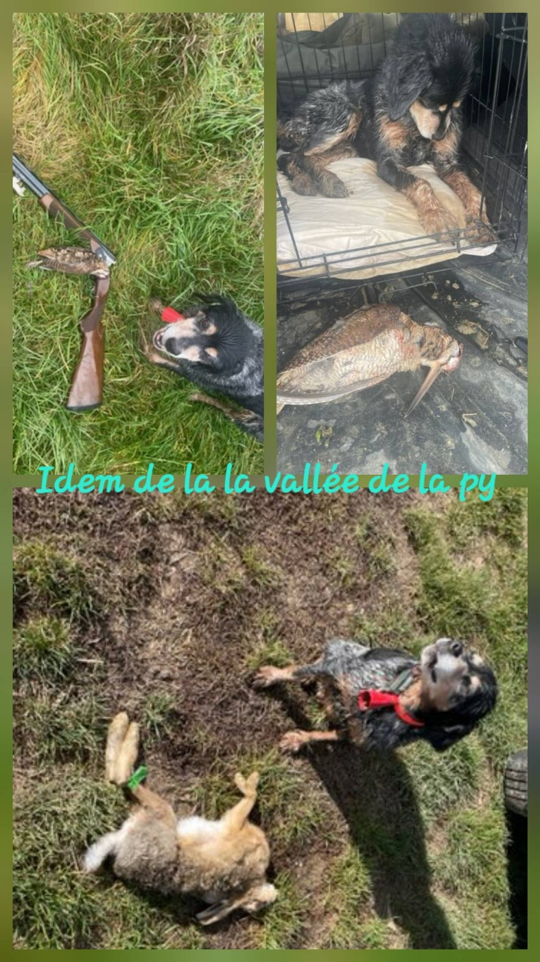 De La Vallée De La Py - Reçu des photos pour la bonne année merci