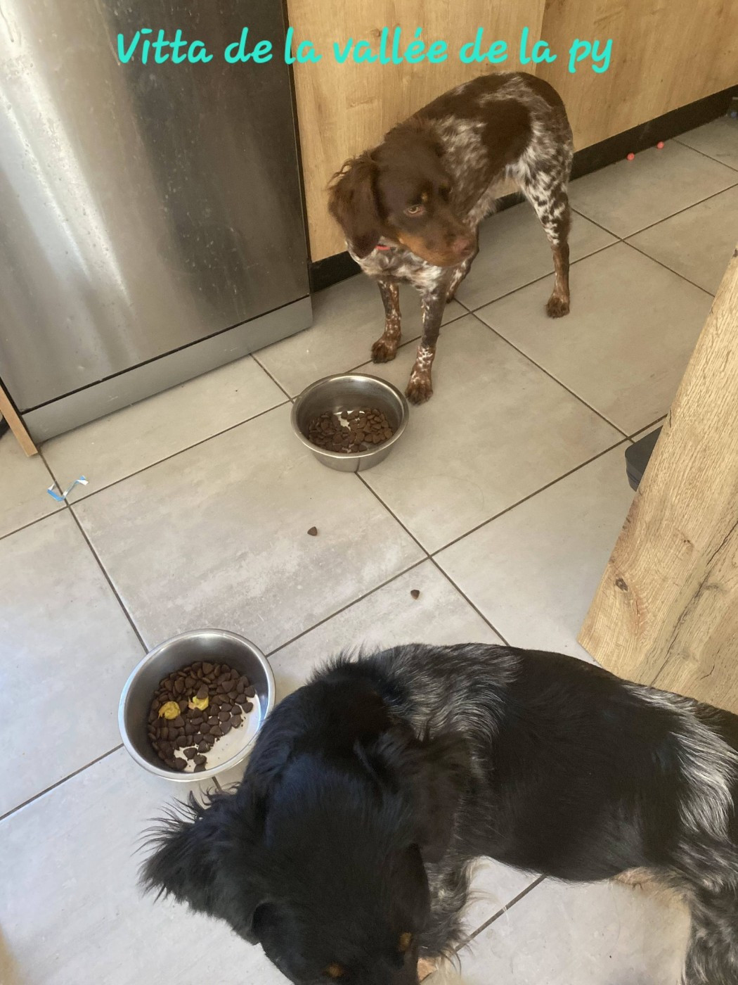 De La Vallée De La Py - Reçu des photos pour la bonne année merci