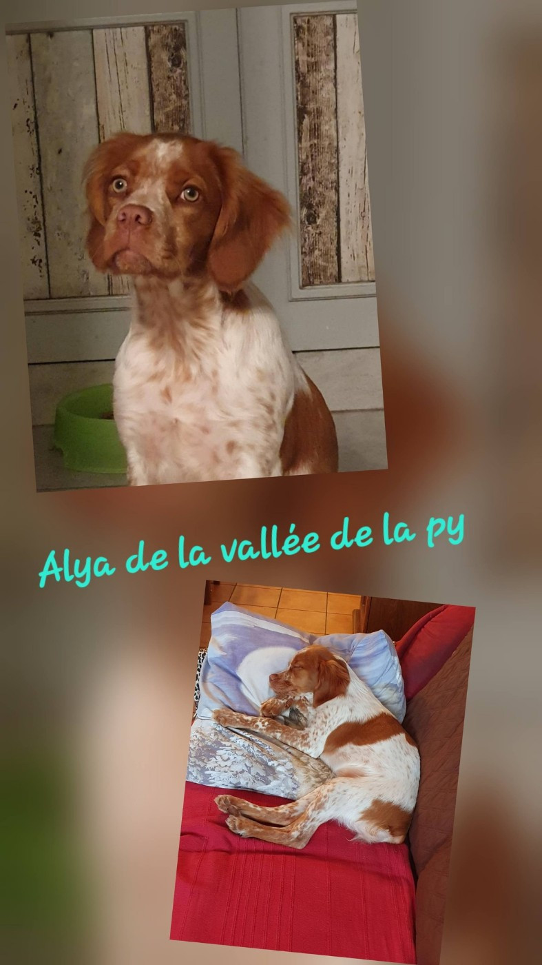 De La Vallée De La Py - Reçu des photos pour la bonne année merci